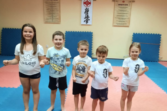 Физкультурно-спортивная программа 